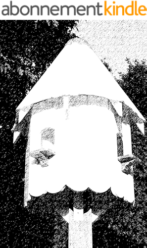 Download How to Build Your Own Dovecote with Complete Plans (English Edition) PDF