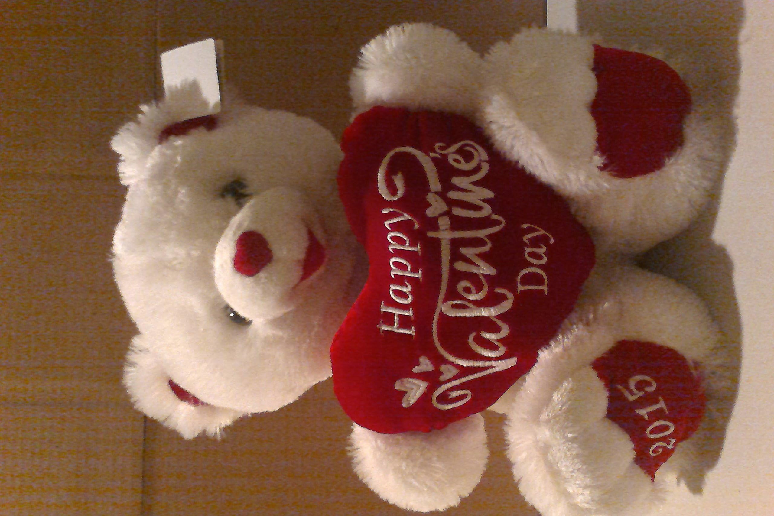 Sweetheart Teddy Ultra-Plush Valentine's Day Teddy Bear Gift - White
