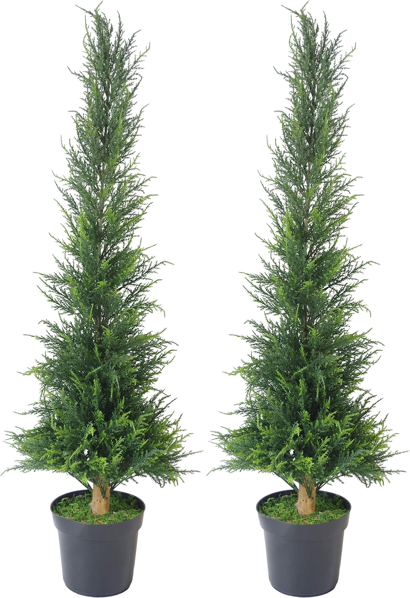 Leaf Pair of 120cm (4ft) Artificial Bushy Cedar Cone Cypress Conifer Topiary Trees