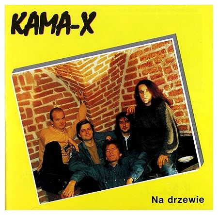 Erstklassiges Neopren-Etui 'Romantisch', rose / Handyhalter mit Trageriemen, mit 'Party' golden glitzernd Armband für Haier U