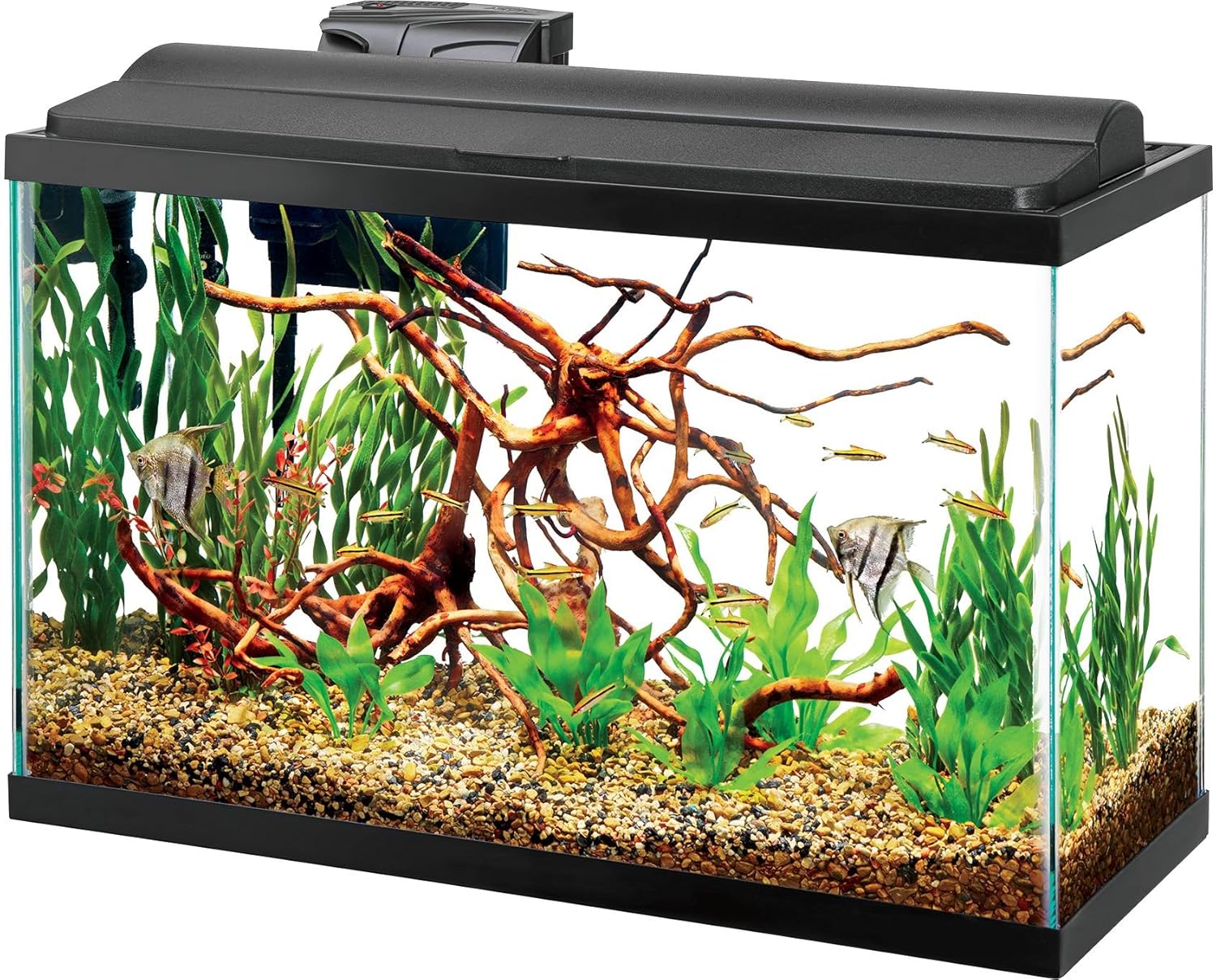 aqueon 29 gallon kit