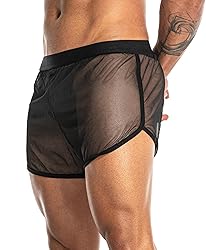 FIROTTII Mens Mesh Shorts Sexy Boxers See Through