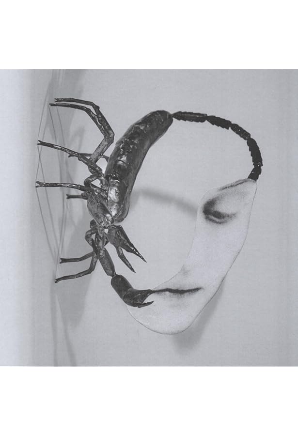 TORTOISE - Standards - Amazon.com Music