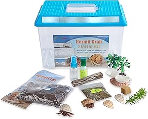 Nature Gift Store Live Pet Hermit Crab Complete Starter Kit - Shipped with 2 Live Crabs