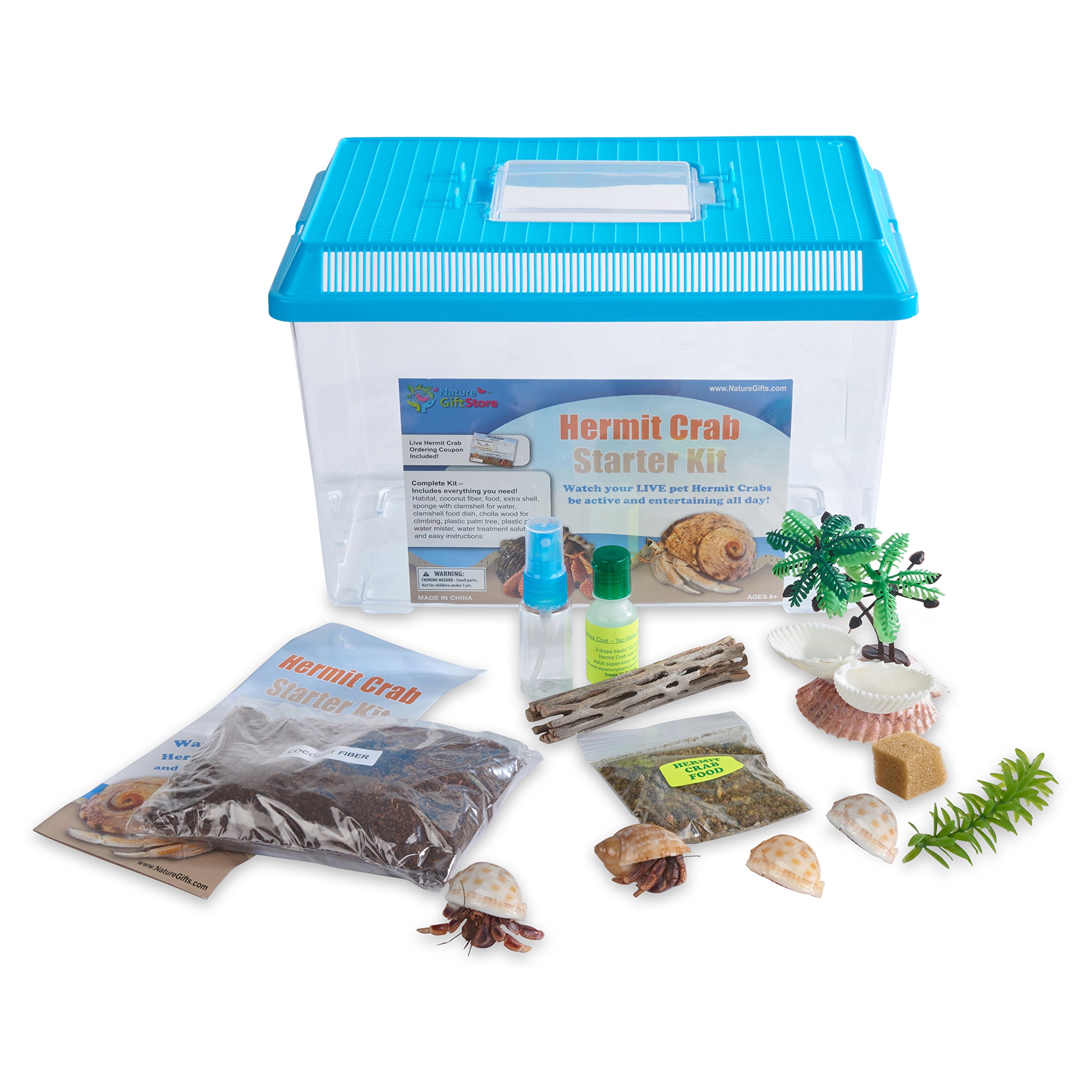 Nature Gift Store Live Pet Hermit Crab Complete Starter Kit Shipped