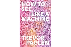 How to See Like a Machine: Images After AI