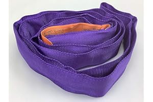 AUTOHAULER SUPPLY 3 Foot Endless Round Sling Purple-2600 lbs Vertical & 5200 lbs Basket WLL