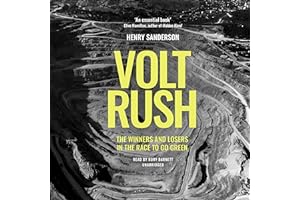 Volt Rush: The Winners and Losers in the Race to Go Green