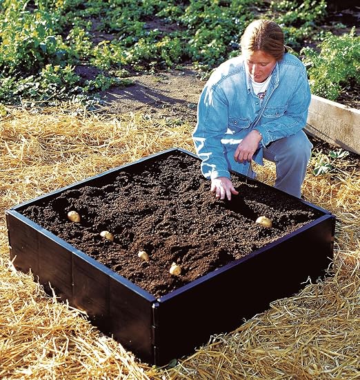 Garland - Bandeja de cultivo: Amazon.es: Jardín