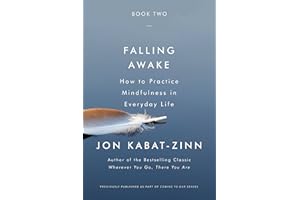 Falling Awake: How to Practice Mindfulness in Everyday Life