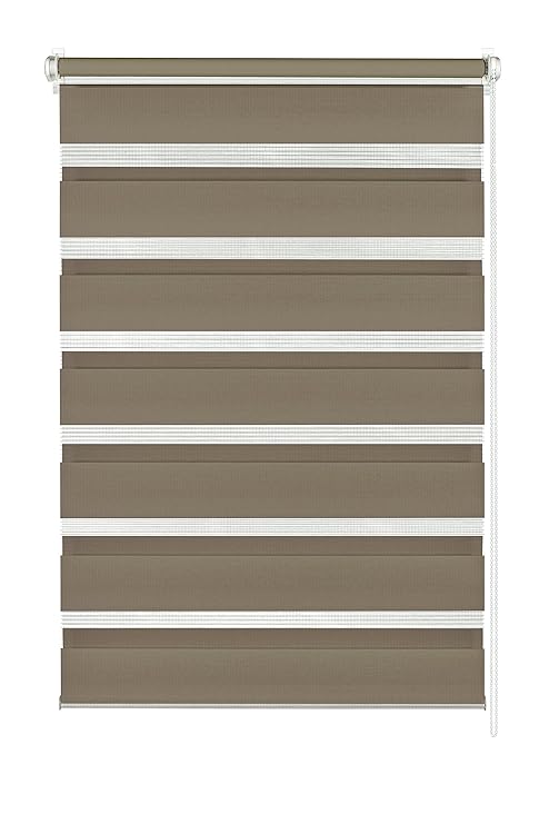 GARDINIA Doppelrollo zum Klemmen oder Kleben, Duo-Rollo/ Seitenzugrollo, Transparente und blickdichte Streifen, Alle Montage-