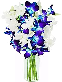 KaBloom Starry Night in the Tropics: Bouquet of 5 Blue Dendrobium Orchids & 5 White Dendrobium Orchids from Thailand with Vase