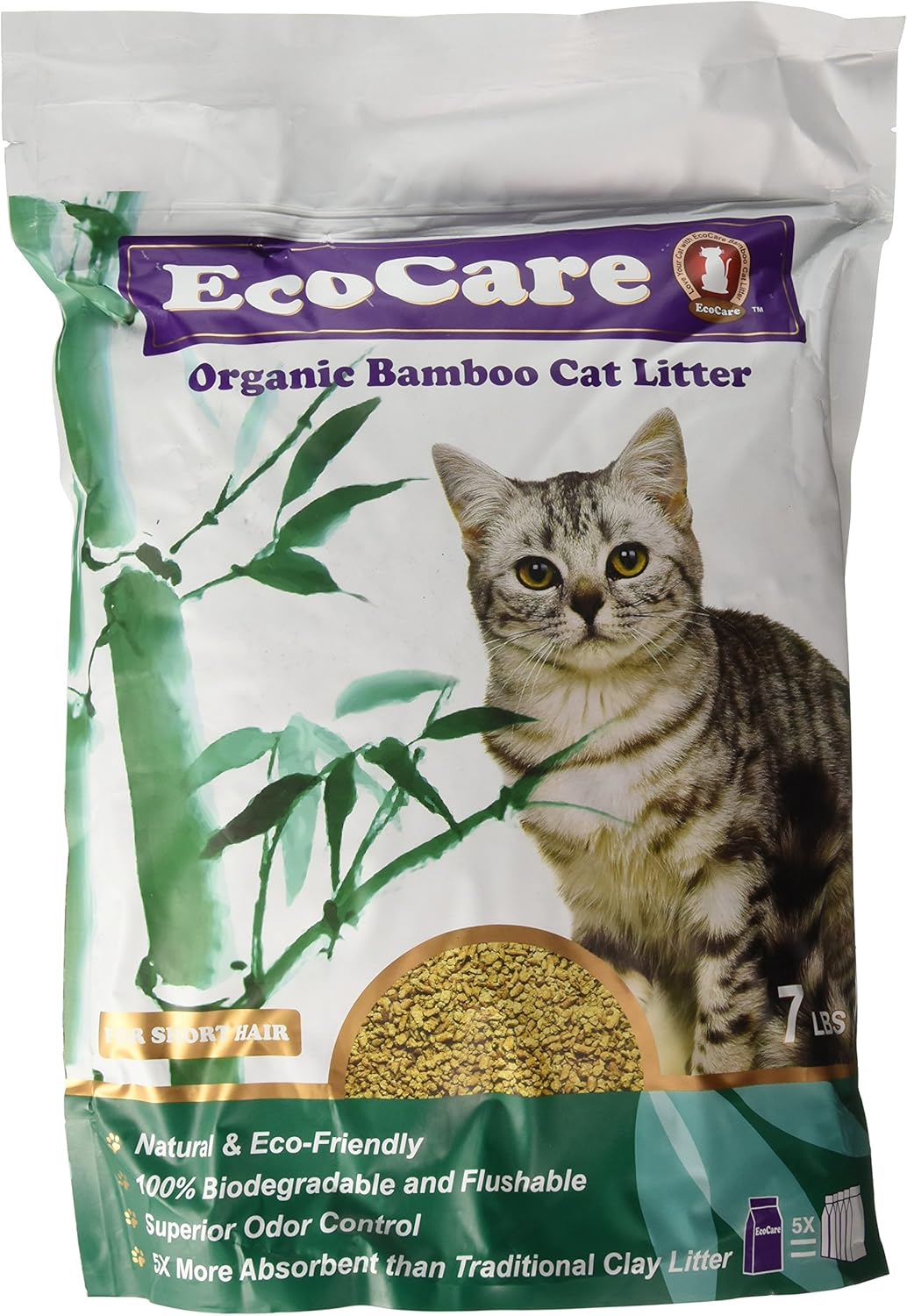 papillon dachshund mix dog