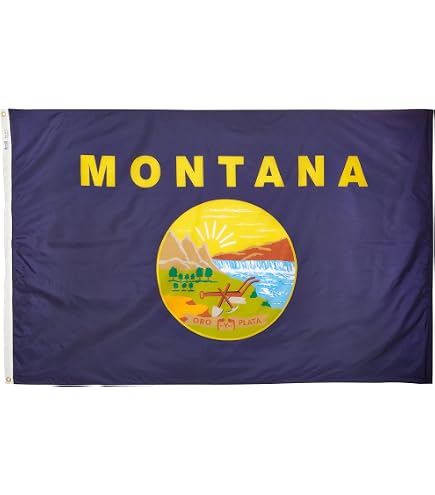 Flagsource Bandiera Dello Stato Del Maine In Nylon Resistente - 7,6 X 1,5 M, Stampata Ad Alta Risoluzione 600 DPI, Prodotta Negli USA Con Inchiostri DuPont