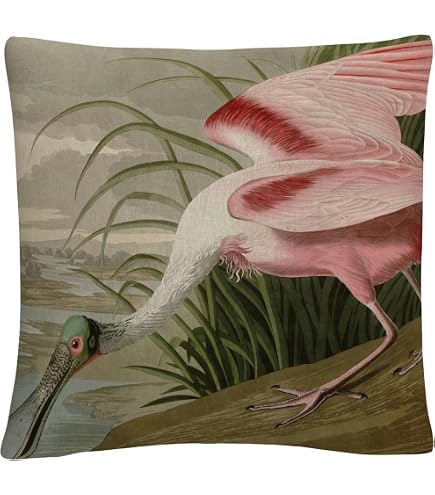 Topyee 12x20 Inch Throw Pillow Cover – Audubon Blue Heron Vintage Nature Print