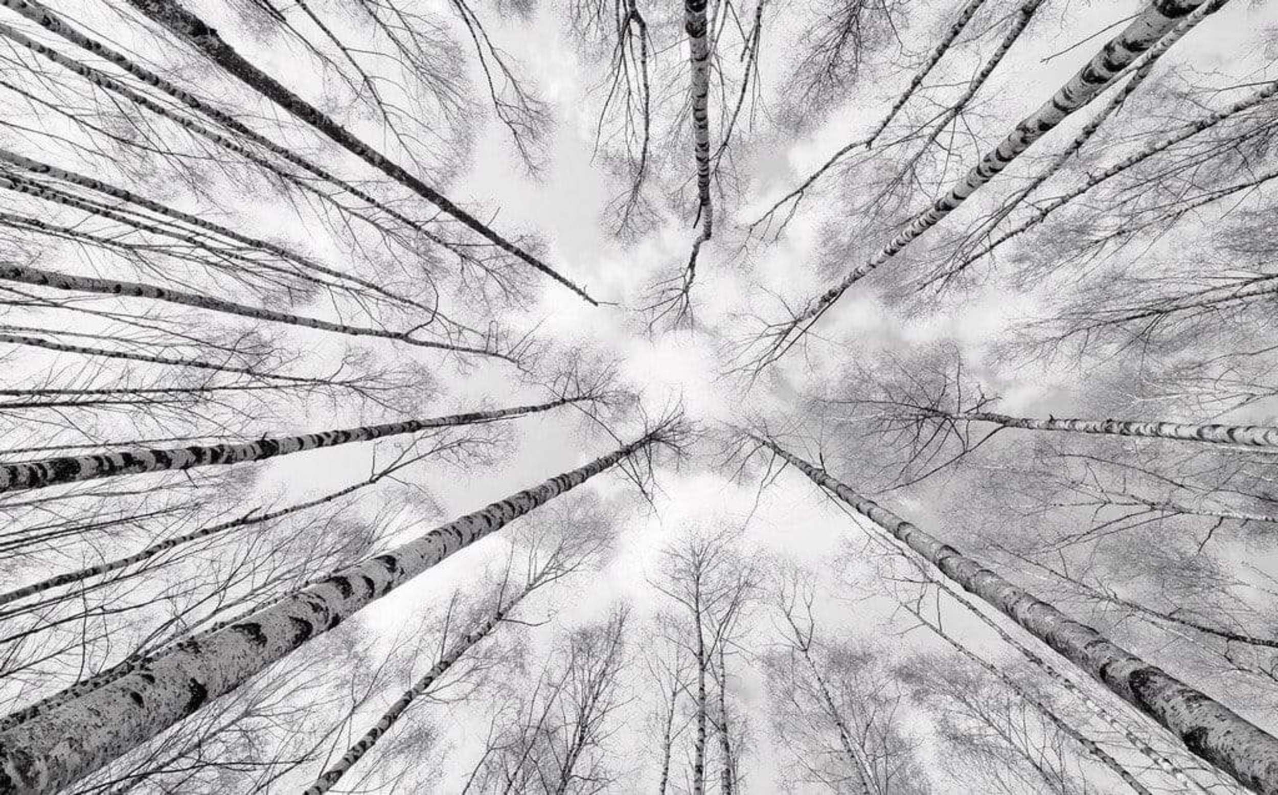 Komar SHX9-093 Non-Woven Photo Wallpaper, XXL, Decoration, Nature, Landscape, Bedroom, Living Room, Office, Hallway, Size 450 x 280 cm (Width x Height) Multi-Coloured