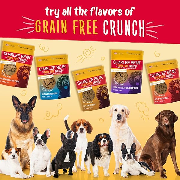 CHARLEE BEAR GRAIN FREE CRUNCH DOG TREATS, BACON & BLUEBERRY FLAVOR, 8 OZ