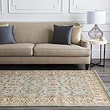 Grey and red area rugs