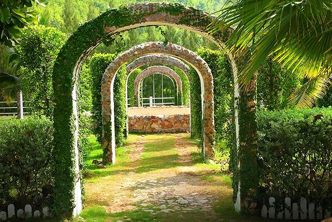 Fototapete PERGOLA GARTEN-(21p)-Größe 350x260cm in 7 Bahnen-Inkl