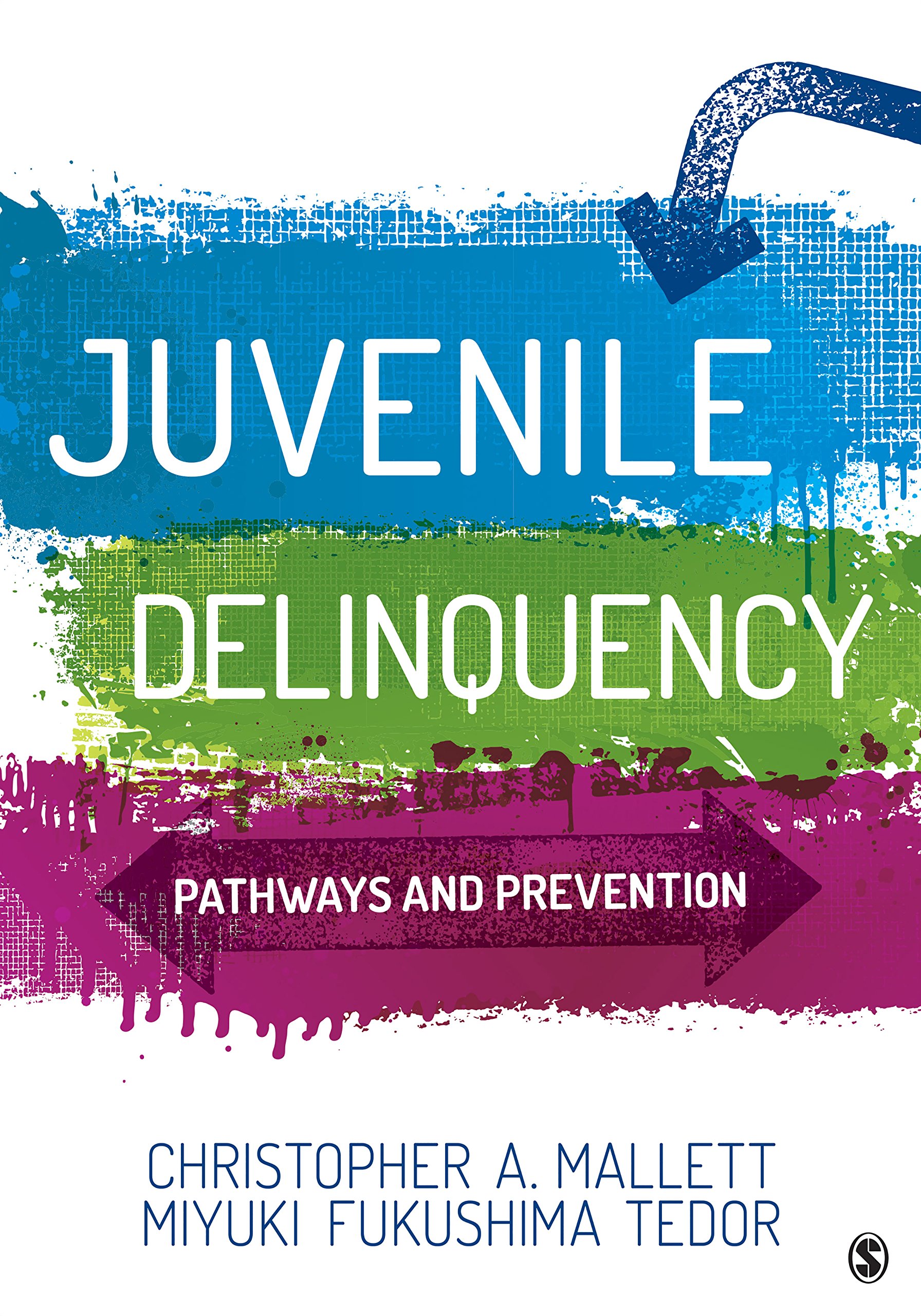 Juvenile Delinquency Pathways And Prevention Kindle Edition By Mallett Christopher A Fukushima Tedor Miyuki Politics Social Sciences Kindle Ebooks Amazon Com