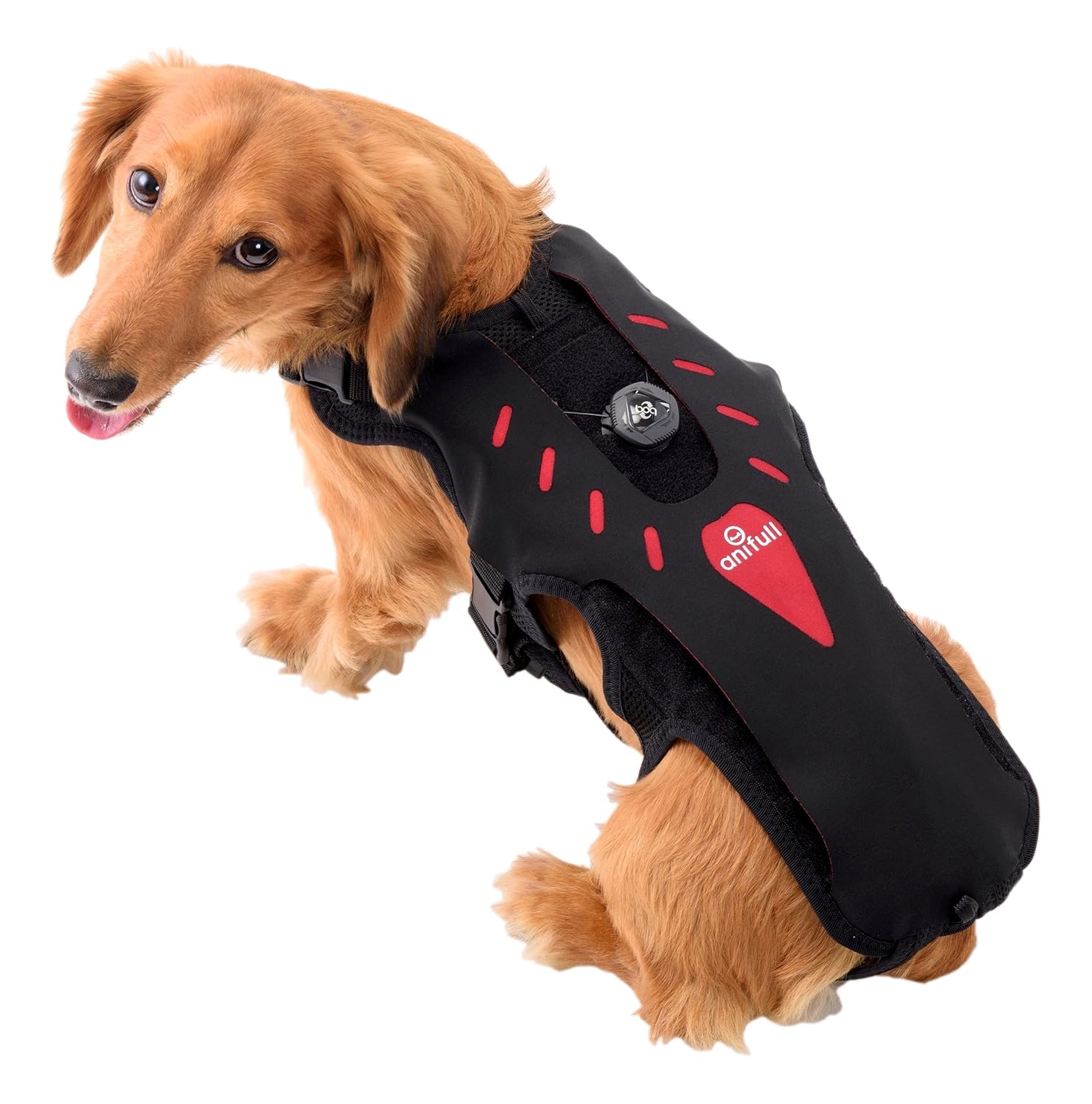 最新人気 ハーネス Bkmkd わんコル Anifull アニフル アブソリュート 犬用コルセット S 今日の超目玉 Www Aiq Aiq Com Mx