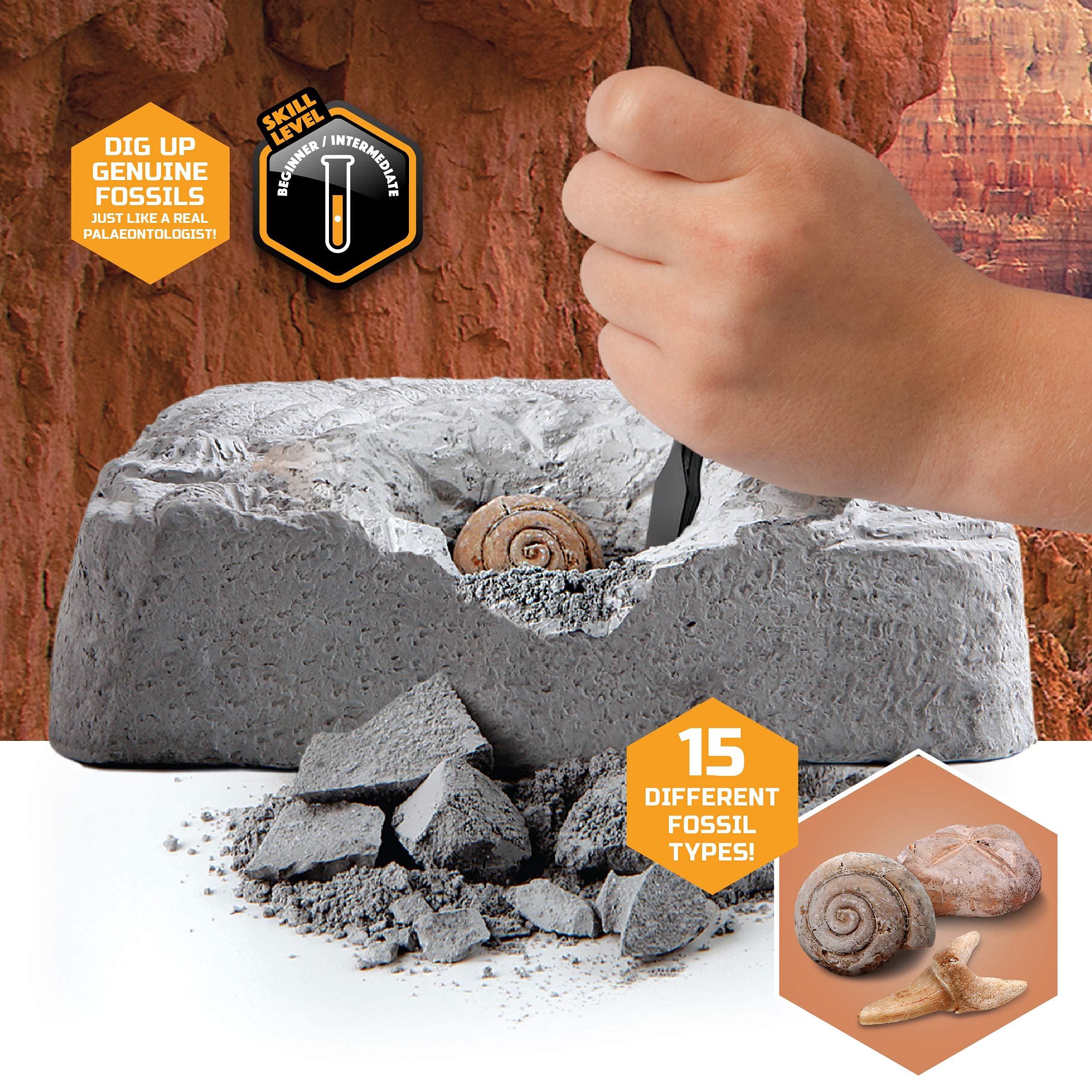 Discovery #MINDBLOWN Colossal Fossil Dig Set, 15-Piece Archaeology Excavation Kit, Uncover Real Shark Teeth & More, Every Fossil Set is Unique, STEM Toys for Boys and Girls