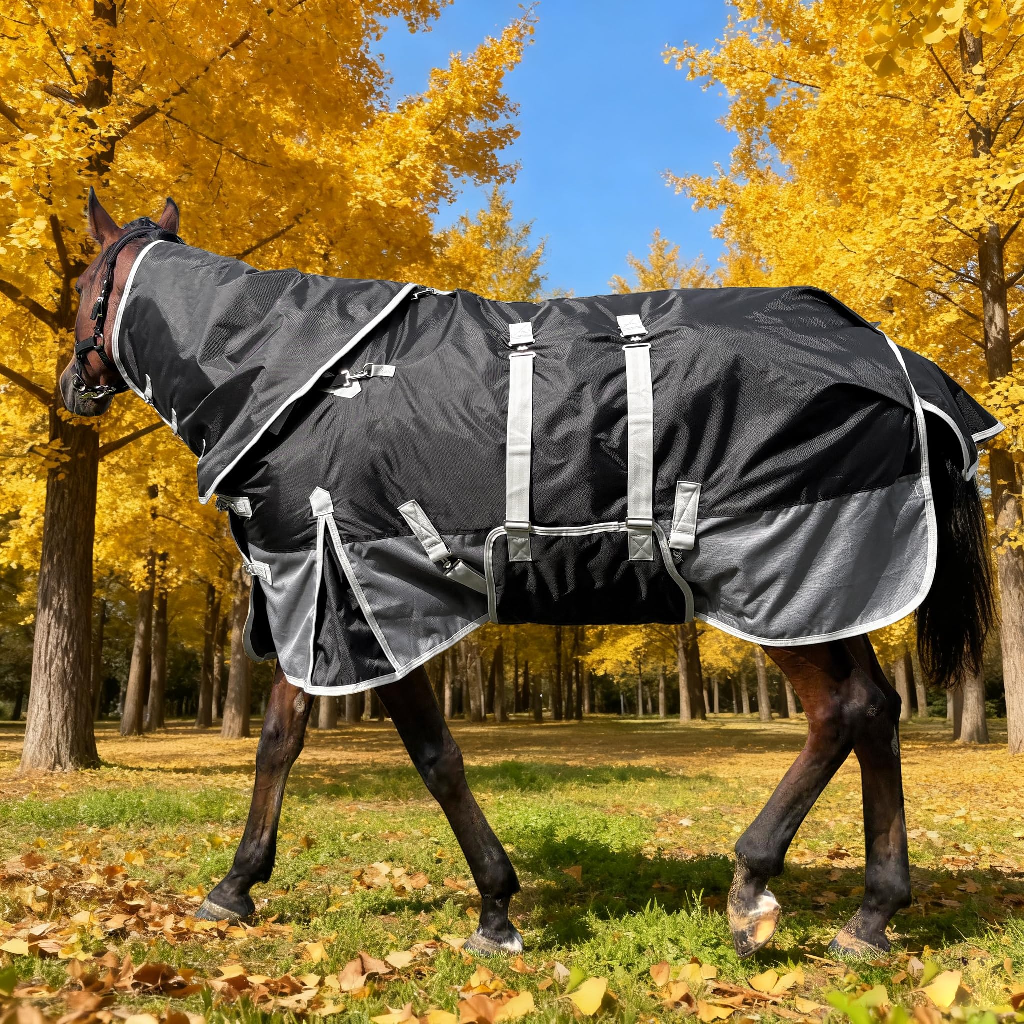 Photo 1 of Turnout Horse Blanket with Hood | Medium Weight Winter Horse Blanket | 1200D Water Resistant |(Black/Gray with Band, 72 in)