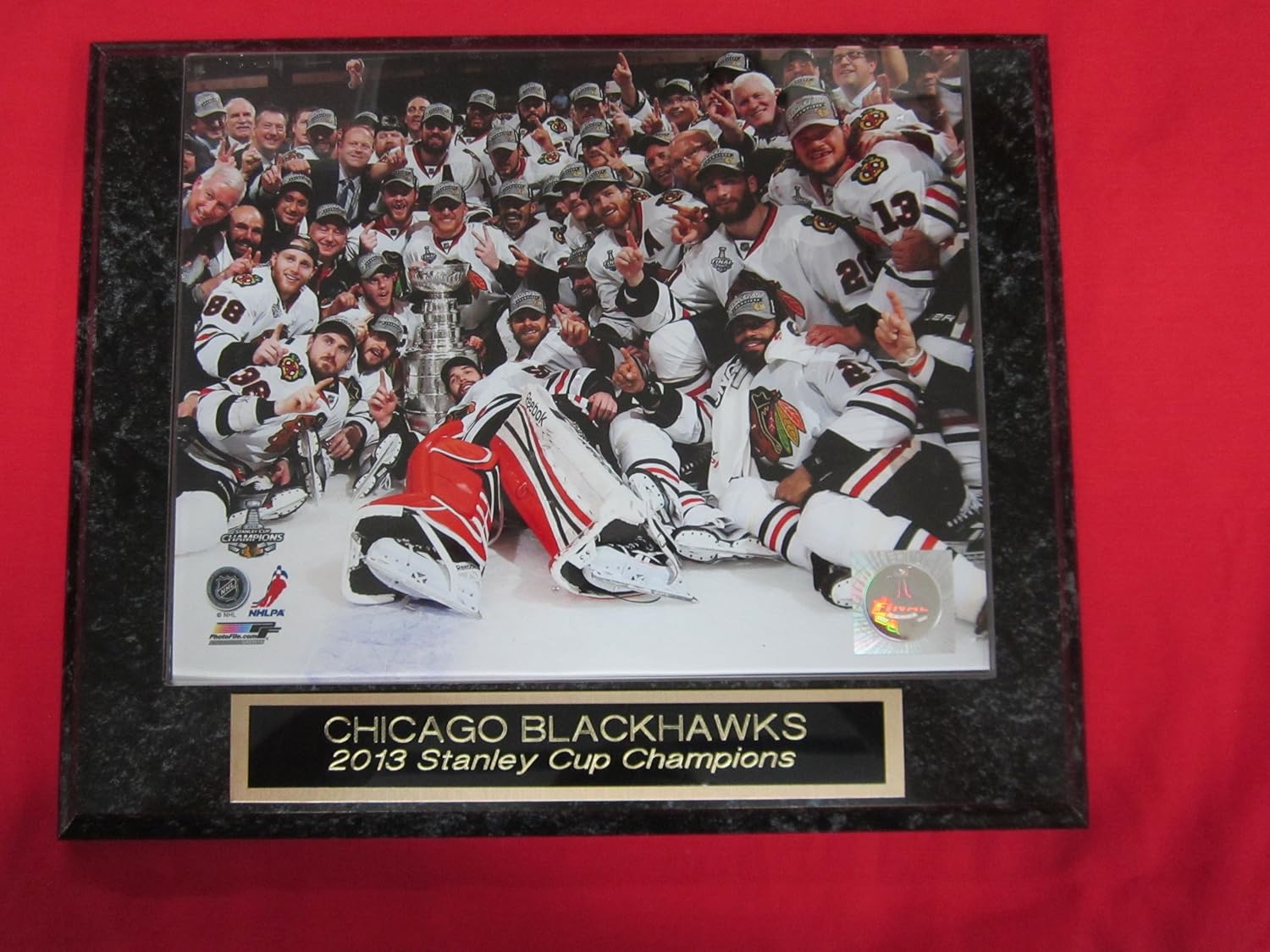 Best Chicago Celebration Stanley Cup