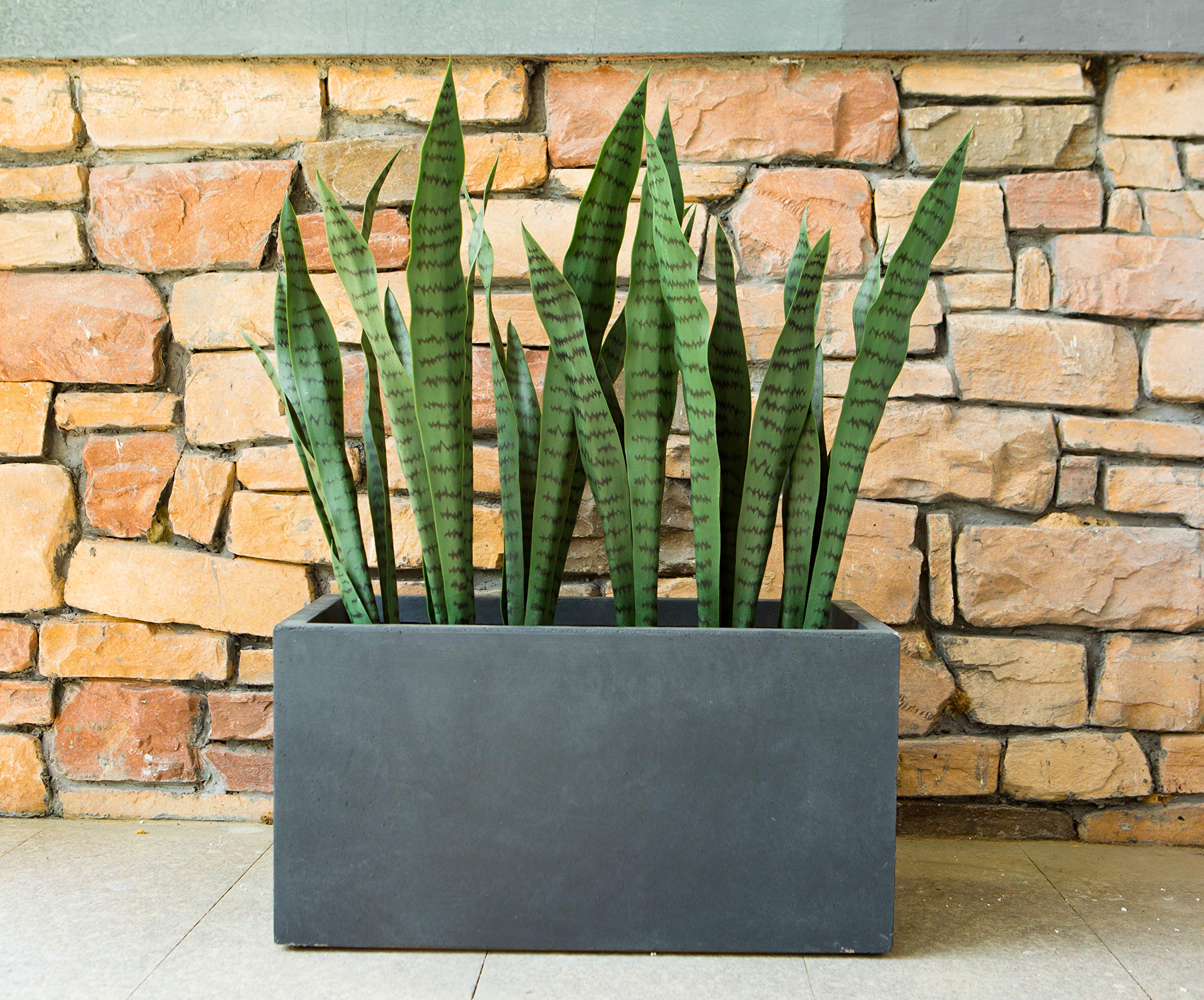 https://images-na.ssl-images-amazon.com/images/I/91QVc8MpWsL.jpg