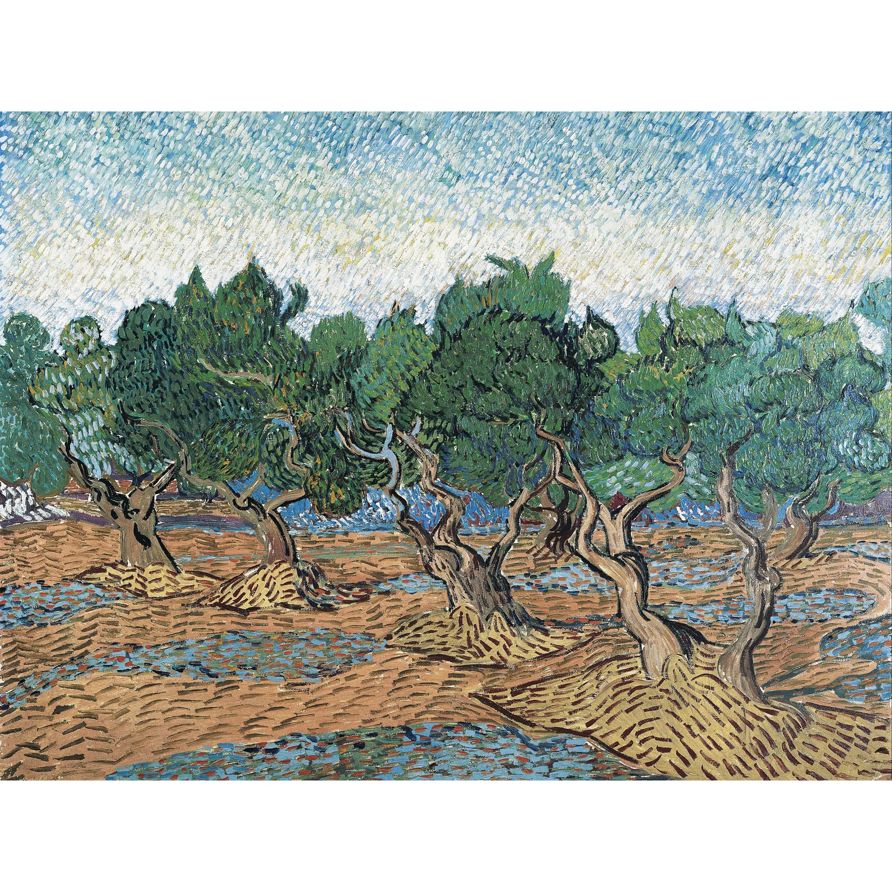 Vincent Van Gogh Olive Grove Large Art Print Poster Wall Decor Premium Mural