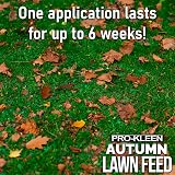 Pro-Kleen Autumn Lawn Feed 2.5kg - Green Up & Disease Prevention view 5