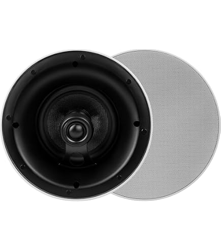 Amazon.com: Dayton Audio ME620C 6-1/2