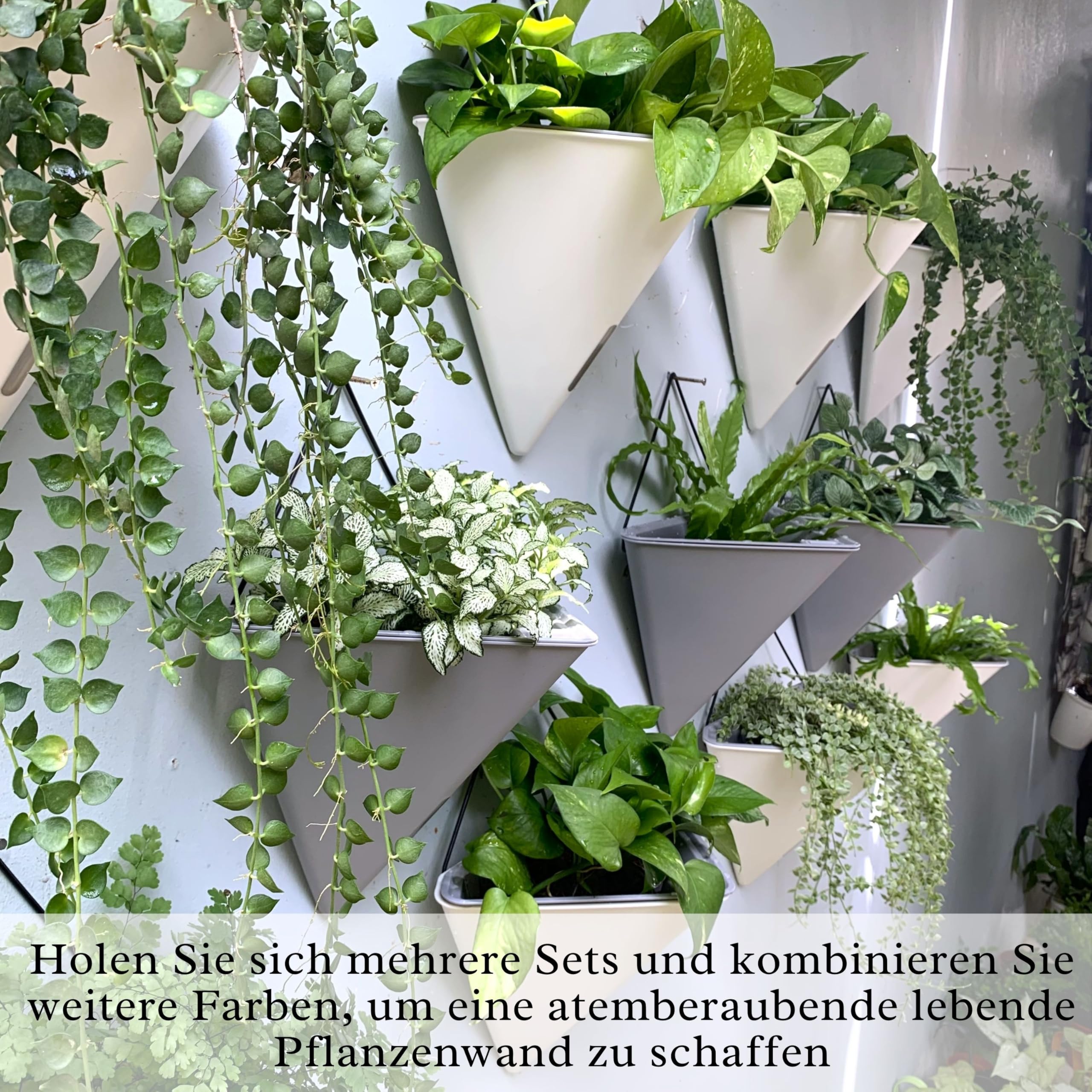 LaLaGreen 4 Stück selbstbewässernde Pflanzenwandpflanzen, 30 cm (12 Zoll) große Pflanzenpflanzen für den Innenbereich 6