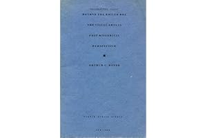 Beyond the Brillo Box: The Visual Arts in Post-Historical Perspective