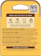 Burt's Bees Best of Gift Set Lip Care view 13