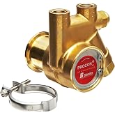 Procon 111A100F11AA Brass Rotary Vane Pump, 3/8" NPTF, 112 GPH