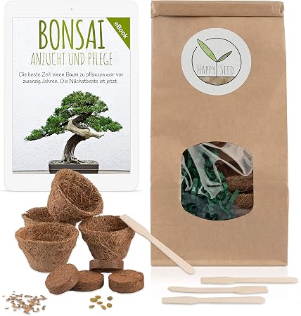 Bonsai Kit incl. eBook GRATUITO - Set con macetas de coco ...