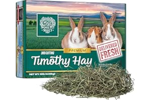 Small Pet Select 3rd Cutting Super Soft Timothy Hay Pet Food for Picky Eaters, Rabbits, Guinea Pigs, and Other Small Animals, Easy to Store Box, 10 LB