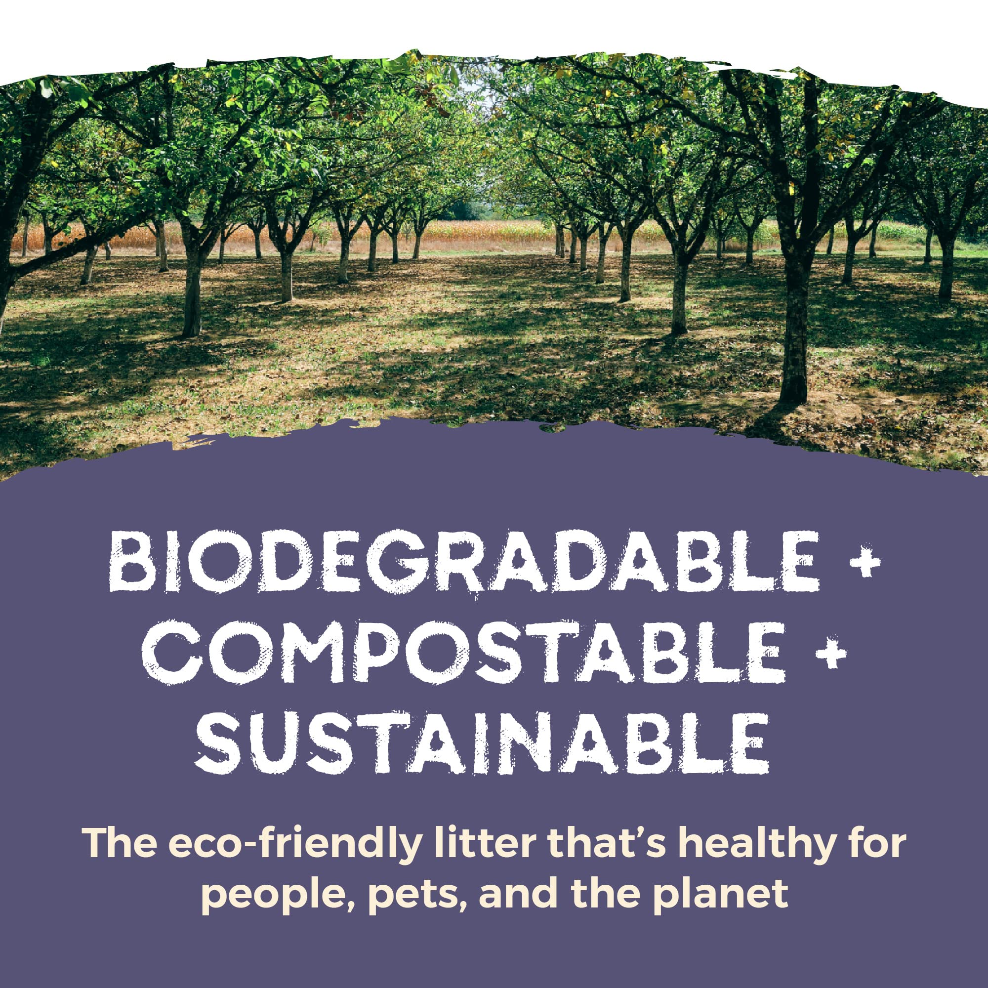 EcoShell Naturally Fresh Cat Litter Made from Walnut Shells, Pellet NonClumping, Biodegradable