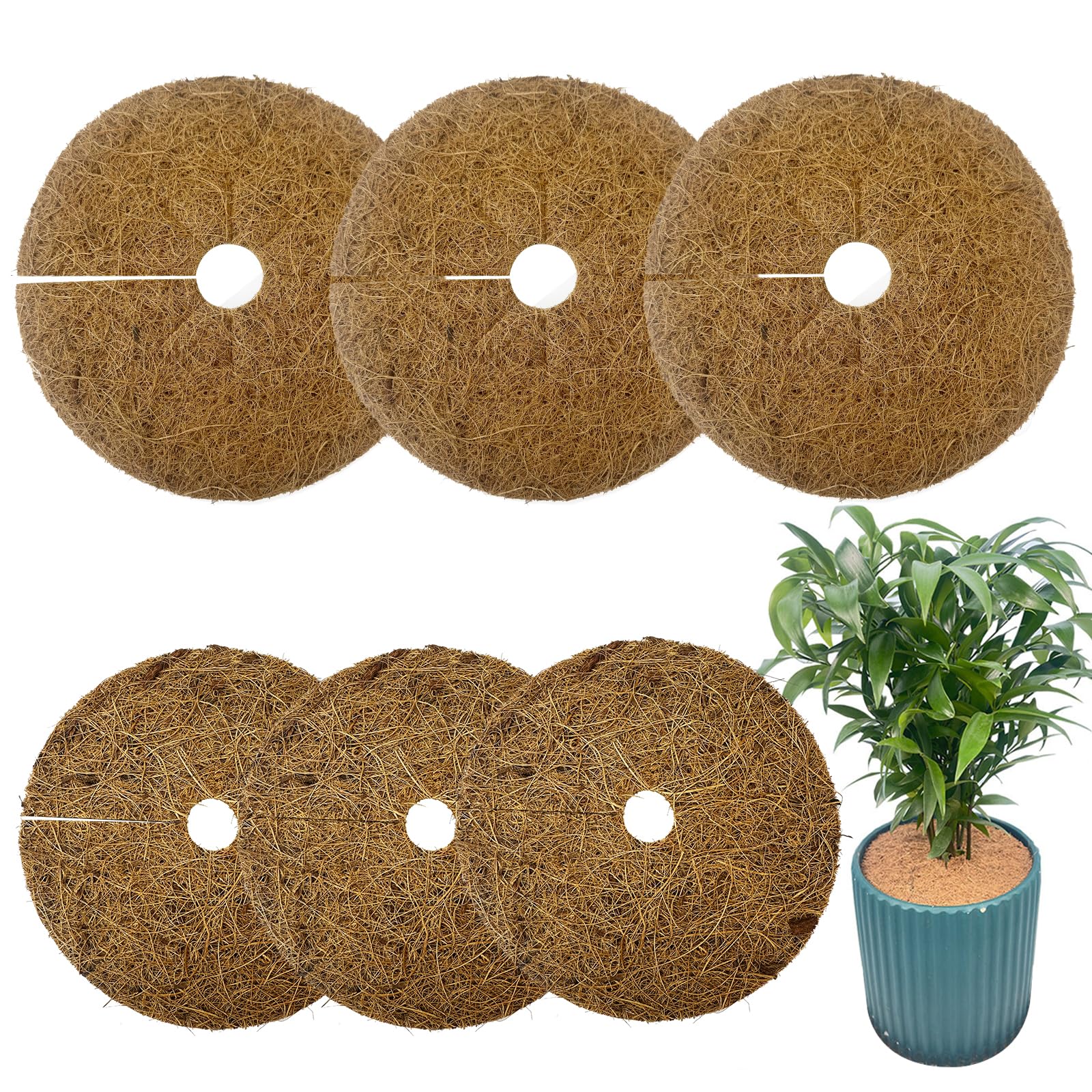 Jiehaojia 6Pcs Coconut Fibers Mulch Ring Tree Protector Mat, 15cm And 20cm Mulch Mats, Coco Coir Mulch Disc Plant Cover for Flower Pots, Landscaping, Indoor Outdoor Plants