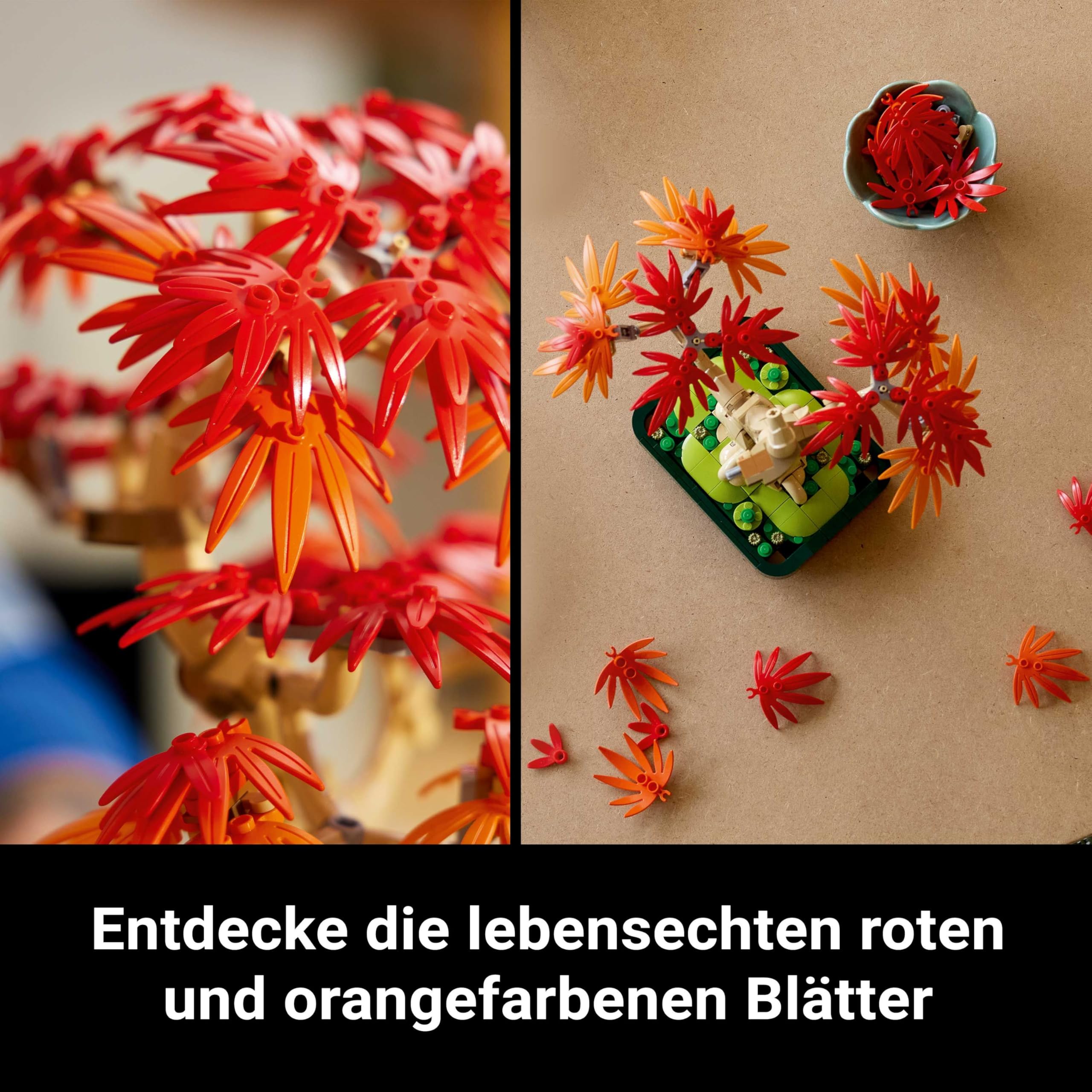 LEGO Botanicals Japanischer Roter Ahorn - Bonsai-Baum - Kunstpflanzen Set mit roten und orangefarbenen Blättern sowie einem baubaren Blumentopf - Kunstblumen DIY Deko Geschenk für Erwachsene - 10348 4