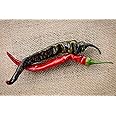 Black Thai Heirloom Chili Pepper Premium Seeds for Planting Packet + More