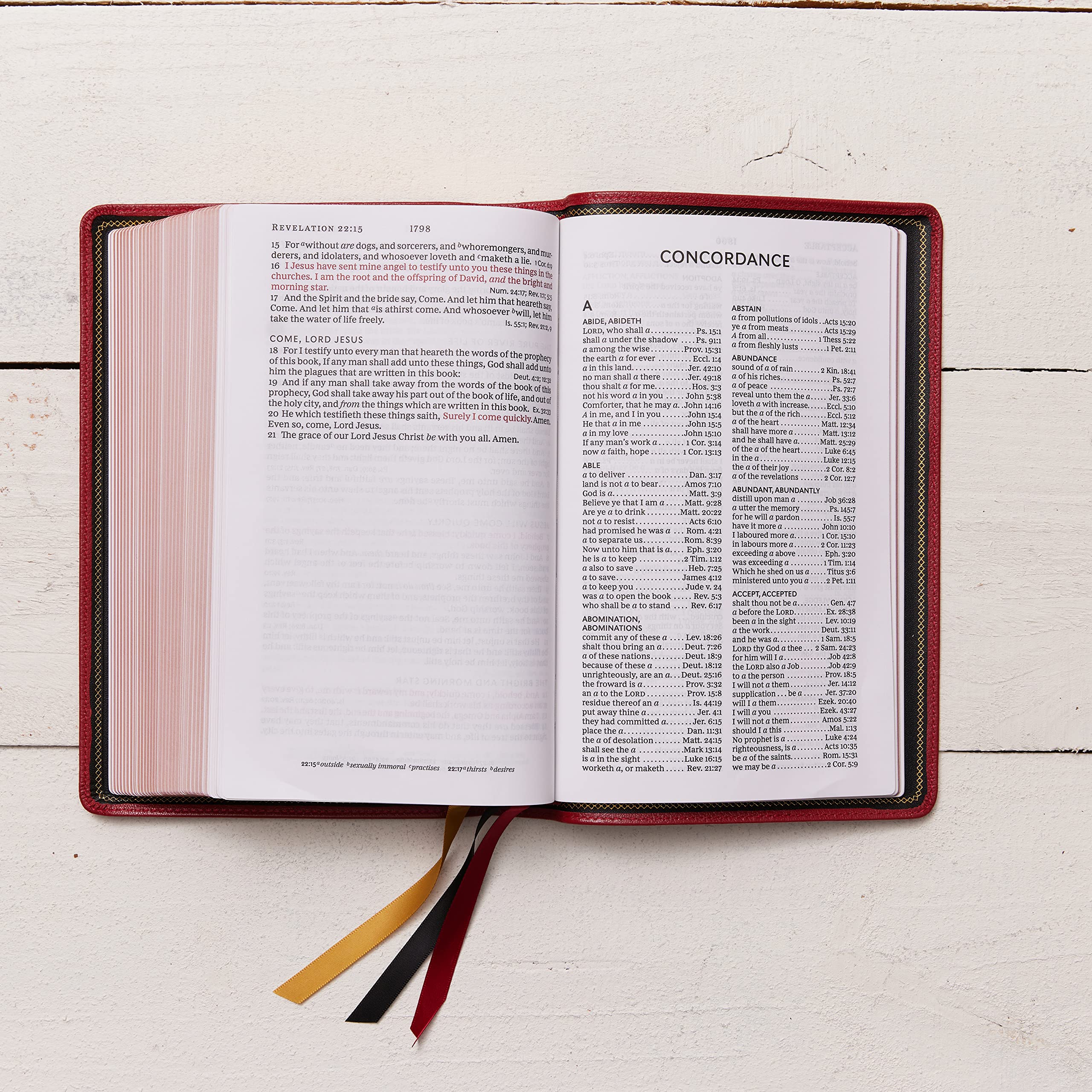 KJV Holy Bible: Large Print Single-Column with 43,000 End-of-Verse Cross References, Red Goatskin Leather, Premier Collection, Personal Size, Red Letter: King James Version KJV Holy Bible: Large Print Single-Column with 43,000 End-of-Verse Cross References, Red Goatskin Leather, Premier Collection, Personal Size, Red Letter: King James Version Leather Bound
