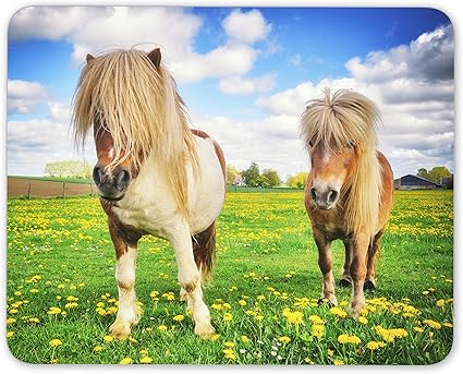 Amazon かわいいポニーマウスマットパッド ポニー馬のキッズガールズボーイズギフトpcコンピュータ 8518 Destination Vinyl Mats 家電 カメラ