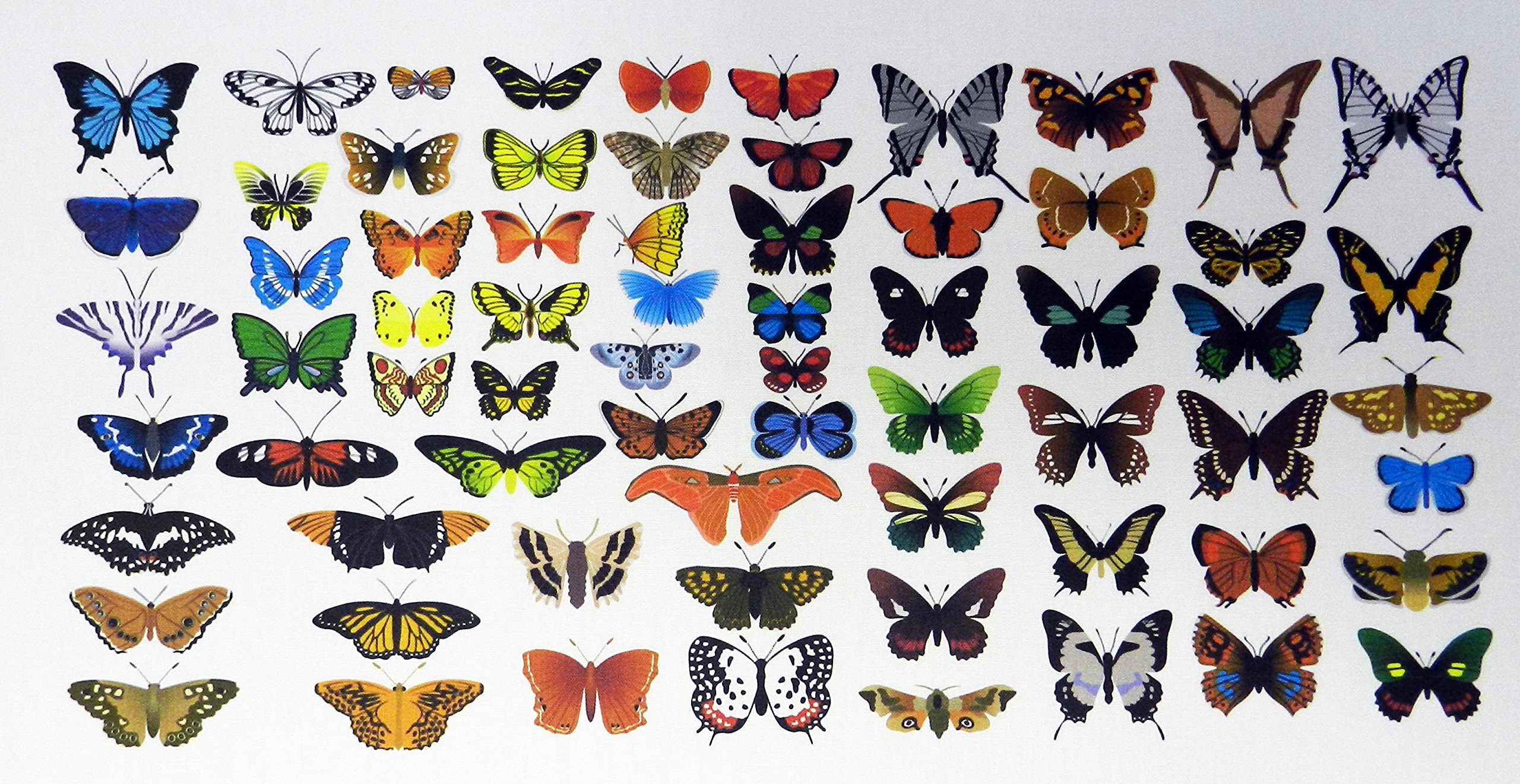 Half a Donkey The Pretty Butterfly Montage Cotton Tea Towel vy