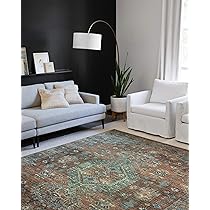 Amazon.com: Loloi II Skye Collection SKY-07 Terracotta/Sky 7