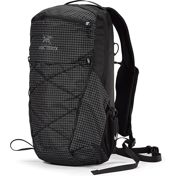 Amazon.com: Arc'teryx Unisex Alpha FL 20 Backpack Black Regular