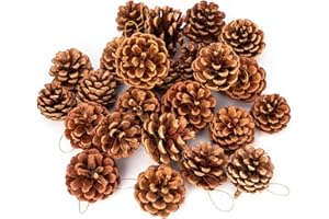 Lescli 24 Pcs Big Size Natural Pine Cones with Strings, 5-9cm Rustic Pinecones Bulk Christmas Hanging Ornaments for Xmas Tree