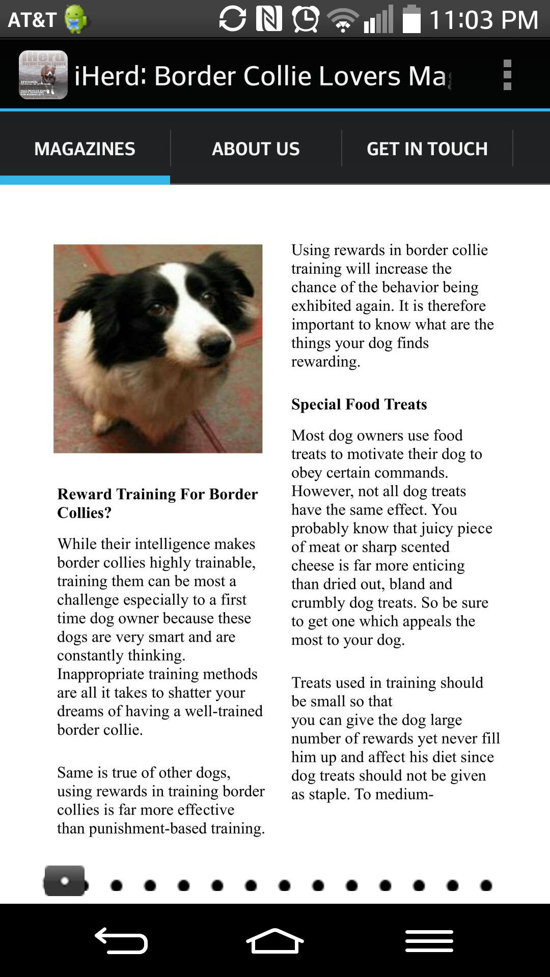iHerd:Border Collie Lovers magazine