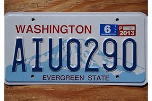 GENERIC Authentic License Plate - All 50 States + Territories, Great for Decoration, Art Projects, Garages, Unique Gifts, Man Caves. (Washington)